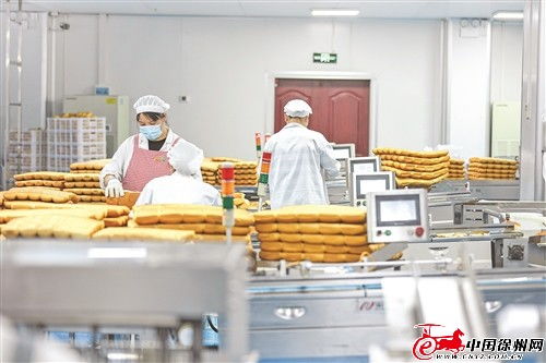 鑫億迪食品加工項(xiàng)目 以產(chǎn)業(yè)融合帶動(dòng)蔬菜規(guī)模化種植與食品生產(chǎn)升級(jí)